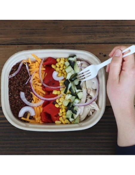 Eccocane 34 oz Rectangular To-Go Box 300/Case