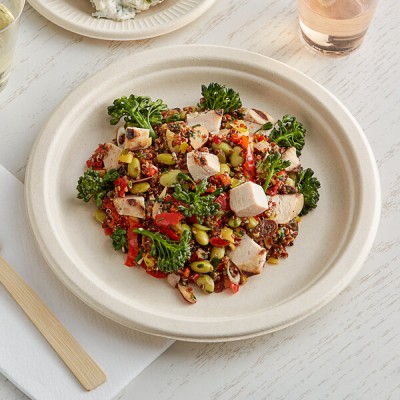 9" No PFAS Added Round Compostable Fiber Plate - 500/Case 2