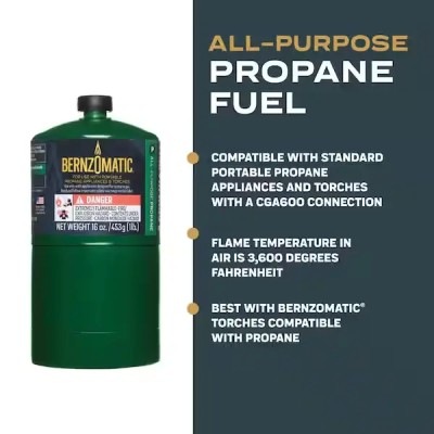 1 lb. All-Purpose Propane Gas Cylinder (2-Pack)16oz 2