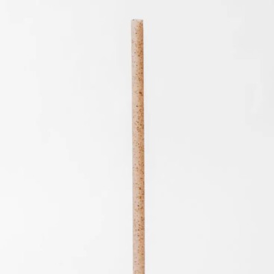 Avolutions Standard Natural Agave Straws 15 cm,... 2