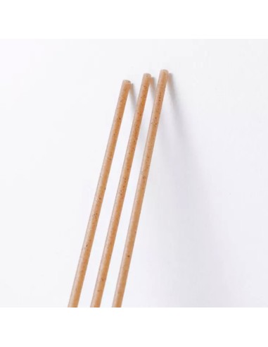 Avolutions Standard Natural Agave Straws 21 cm,...