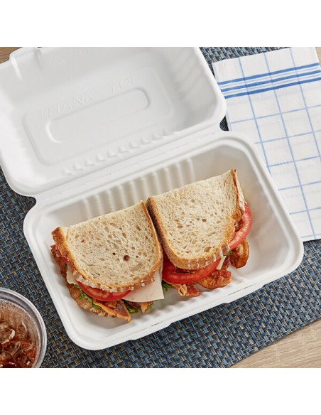 9" x 6" x 3" Compostable Sugarcane / Bagasse 1 Compartment Take-Out Container - 200/Case